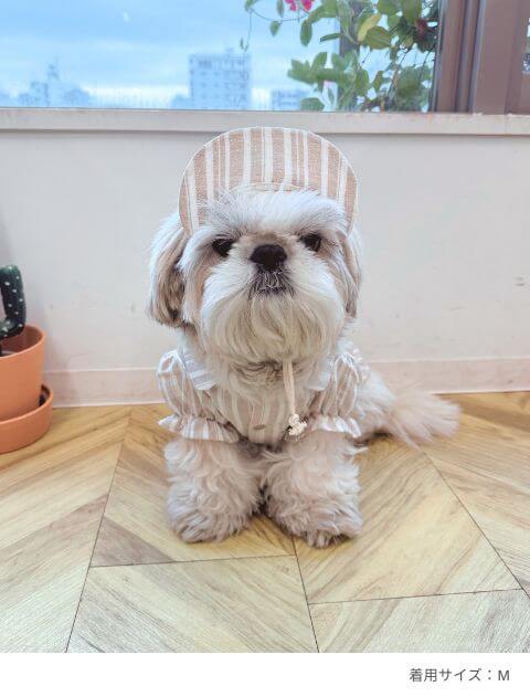 綿麻ストライプドッグキャップ ブランドのドッグデプト/DOG DEPT
