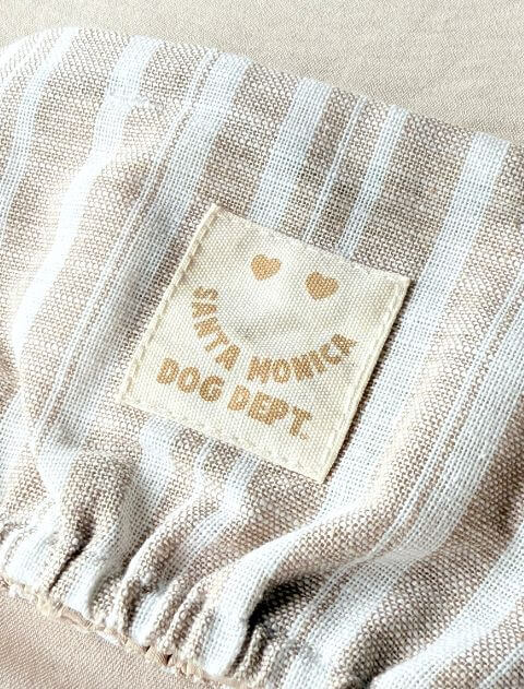 綿麻ストライプクールネック ブランドのドッグデプト/DOG DEPT