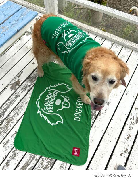 MY DOG is No.1　ブランケット  ブランドのドッグデプト/DOG DEPT