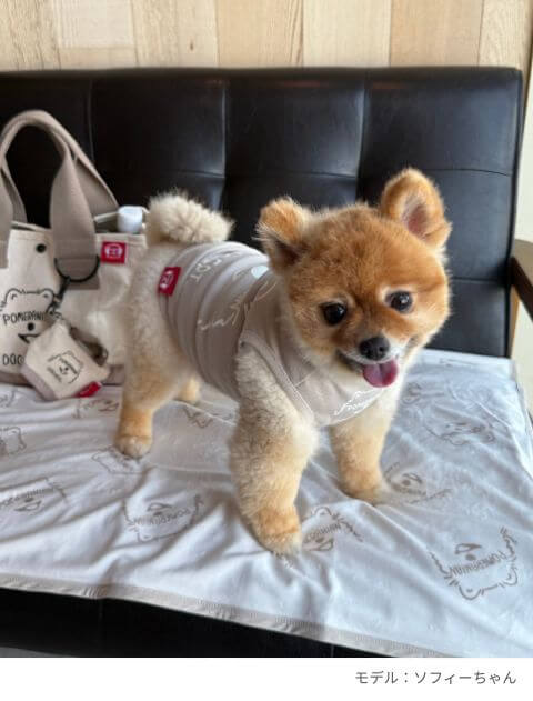MY DOG is No.1　ブランケット  ブランドのドッグデプト/DOG DEPT