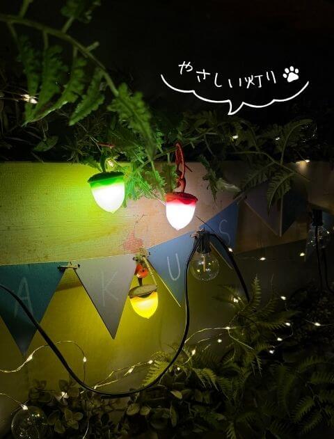 どんぐりライト ブランドのドッグデプト/DOG DEPT