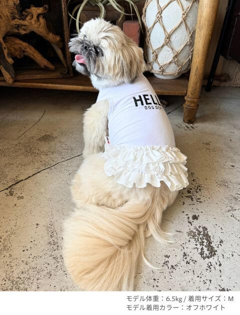 インナースカート 犬服ブランドのドッグデプト/DOG DEPT