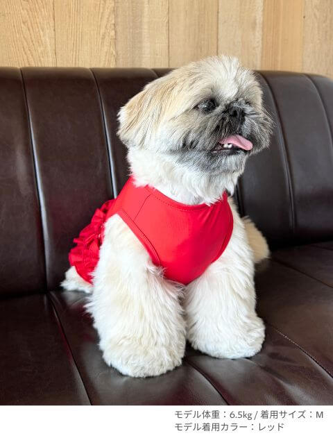 インナースカート 犬服ブランドのドッグデプト/DOG DEPT