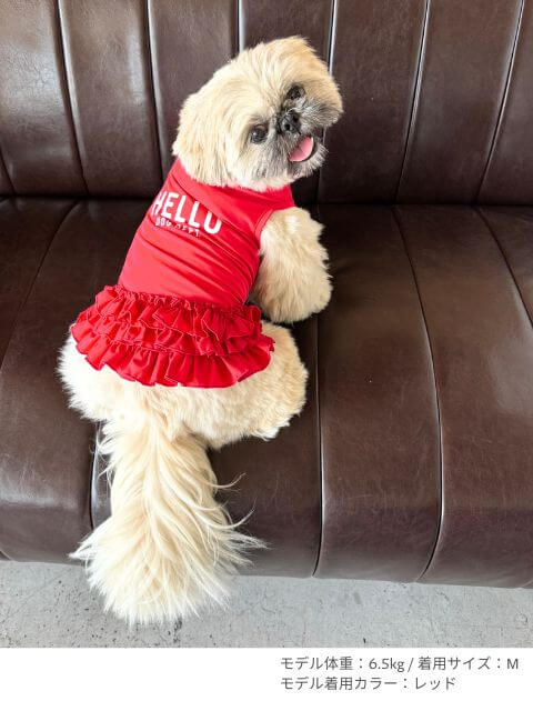 インナースカート 犬服ブランドのドッグデプト/DOG DEPT