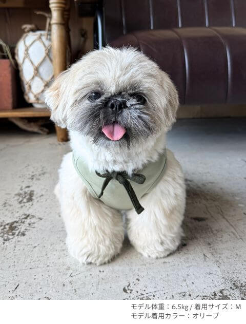 犬服 / ドッグウェア】フリフリワンピ / DOG DEPT (ドッグデプト