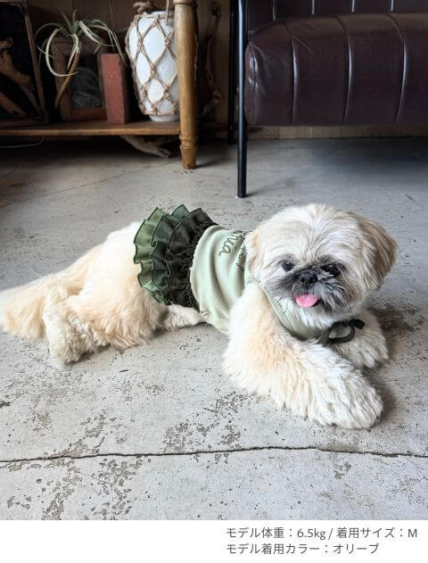 犬服 / ドッグウェア】フリフリワンピ / DOG DEPT (ドッグデプト