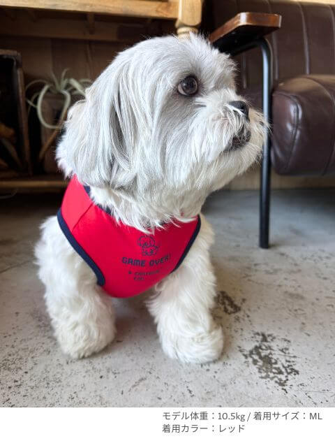 MATE GAME ノースリーブ犬服ブランドのドッグデプト/DOG DEPT