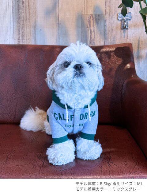 カレッジロゴボタンパーカー犬服ブランドのドッグデプト/DOG DEPT