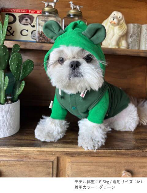 レイヤーパーカー犬服ブランドのドッグデプト/DOG DEPT