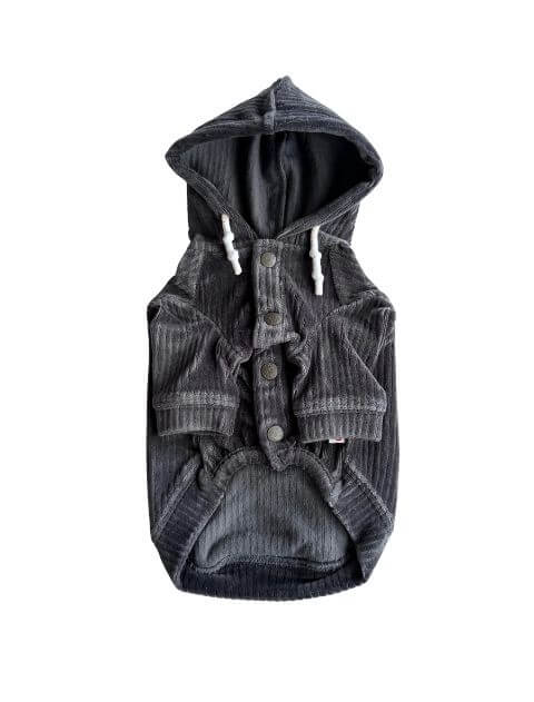 カットコーデュロイペア犬服ブランドのドッグデプト/DOG DEPT