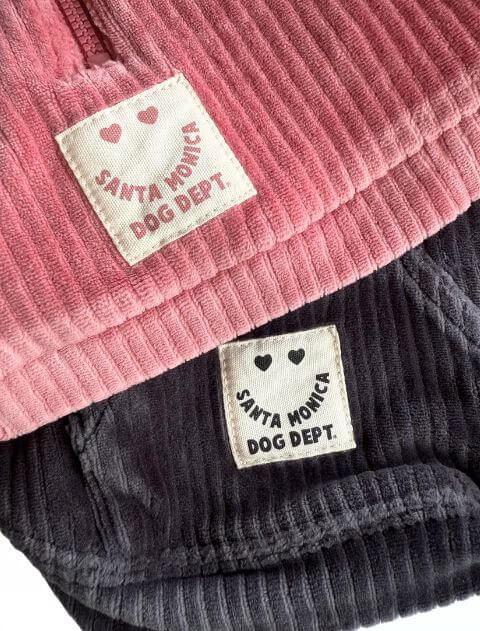 カットコーデュロイペア犬服ブランドのドッグデプト/DOG DEPT