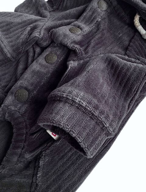 カットコーデュロイペア犬服ブランドのドッグデプト/DOG DEPT