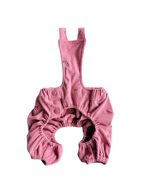 OHANA刺繍コーデュロイかぼちゃパンツ犬服ブランドのドッグデプト/DOG DEPT