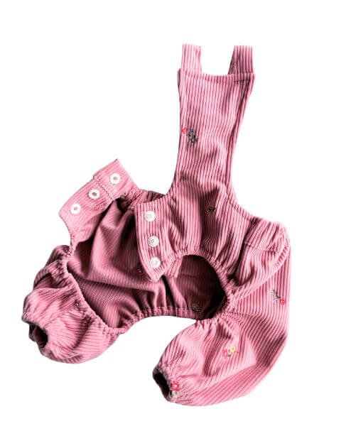 OHANA刺繍コーデュロイかぼちゃパンツ犬服ブランドのドッグデプト/DOG DEPT