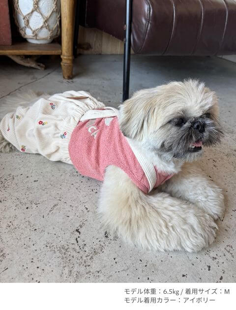 OHANA刺繍コーデュロイかぼちゃパンツ犬服ブランドのドッグデプト/DOG DEPT