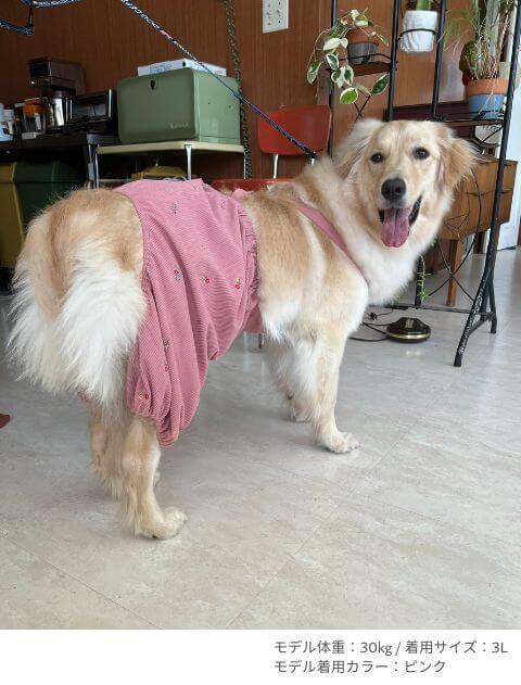 OHANA刺繍コーデュロイかぼちゃパンツ犬服ブランドのドッグデプト/DOG DEPT