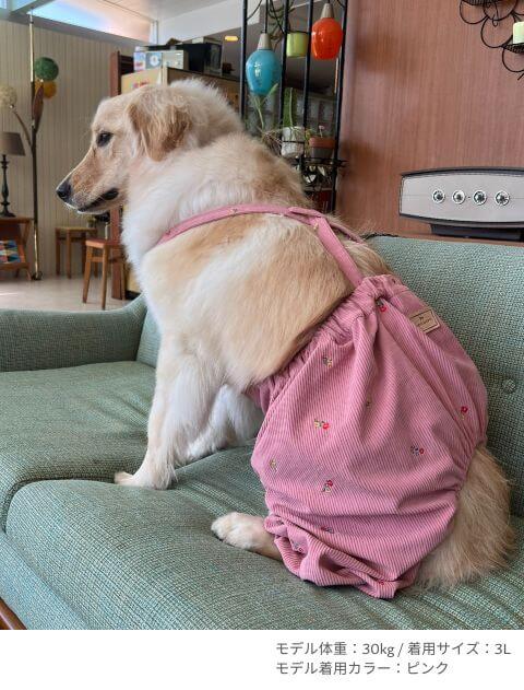 OHANA刺繍コーデュロイかぼちゃパンツ犬服ブランドのドッグデプト/DOG DEPT