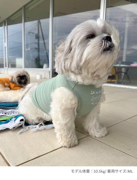 chill ウェア ノースリーブ犬服ブランドのドッグデプト/DOG DEPT