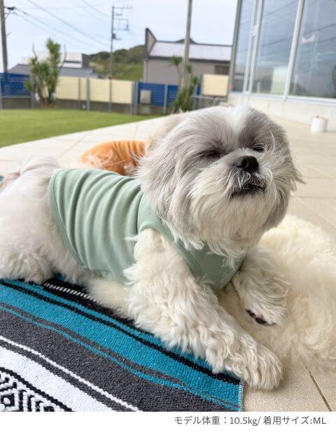 chill ウェア ノースリーブ犬服ブランドのドッグデプト/DOG DEPT