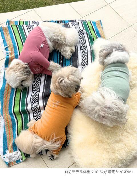 chill ウェア ノースリーブ犬服ブランドのドッグデプト/DOG DEPT