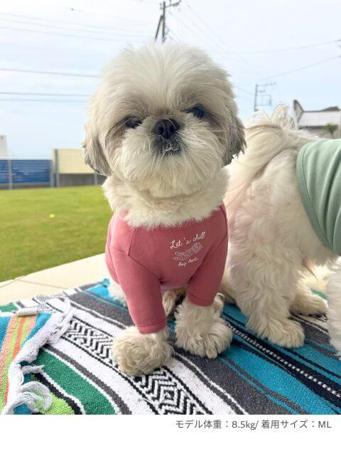 chill ウェア　Tシャツ犬服ブランドのドッグデプト/DOG DEPT