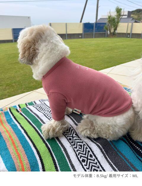 chill ウェア　Tシャツ犬服ブランドのドッグデプト/DOG DEPT