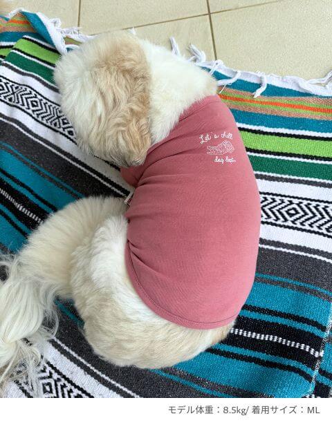 chill ウェア　Tシャツ犬服ブランドのドッグデプト/DOG DEPT