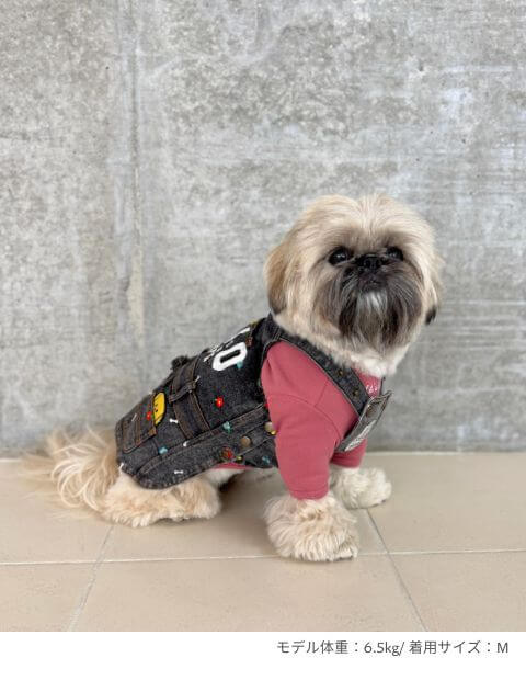 chill ウェア　Tシャツ犬服ブランドのドッグデプト/DOG DEPT