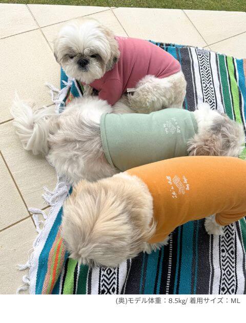 chill ウェア　Tシャツ犬服ブランドのドッグデプト/DOG DEPT