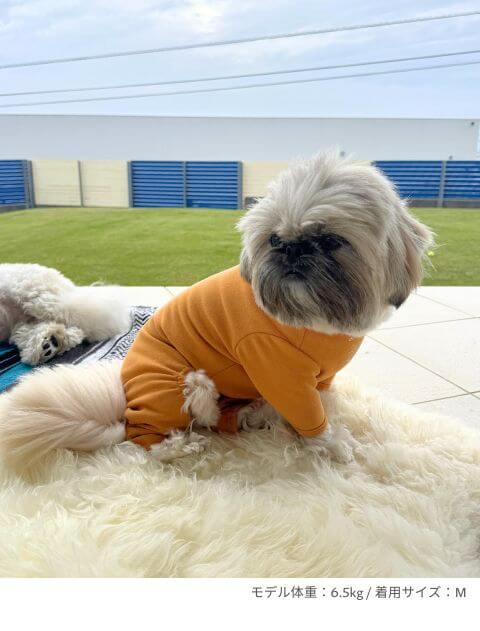 chill ウェア　ロンパース犬服ブランドのドッグデプト/DOG DEPT
