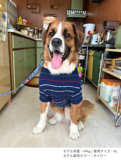 もこもこボーダープルパーカー 犬服ブランドのドッグデプト/DOG DEPT