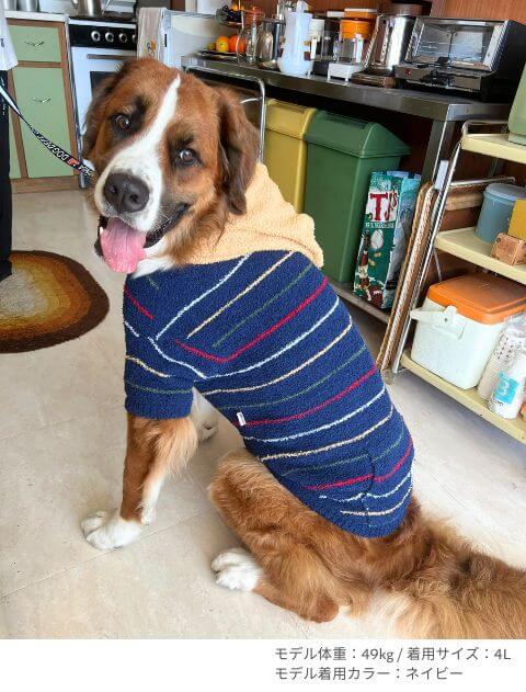 もこもこボーダープルパーカー 犬服ブランドのドッグデプト/DOG DEPT