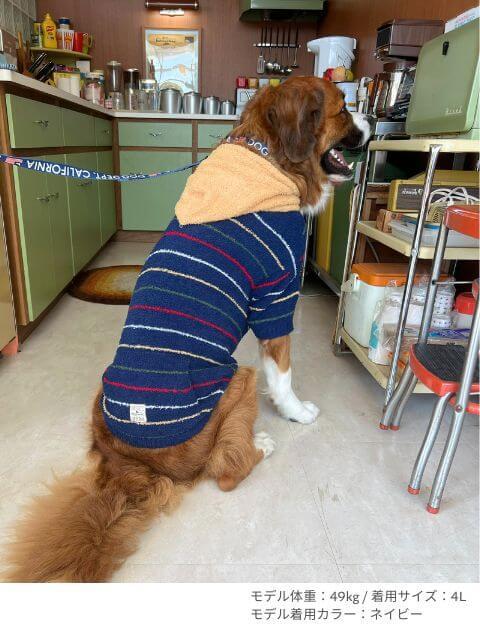 もこもこボーダープルパーカー 犬服ブランドのドッグデプト/DOG DEPT