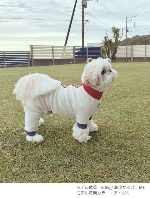 Dウォーム背中ジップロンパース 犬服ブランドのドッグデプト/DOG DEPT