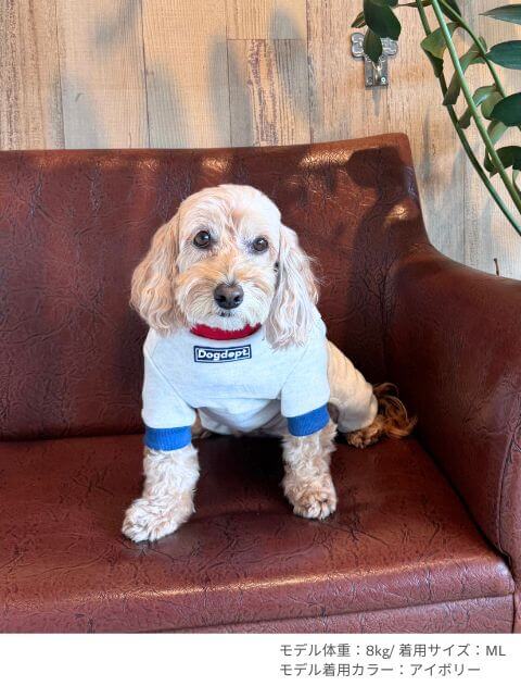 Dウォーム背中ジップロンパース 犬服ブランドのドッグデプト/DOG DEPT