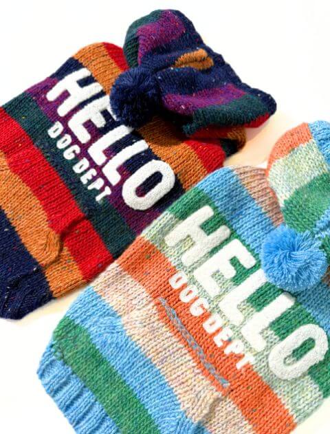 カラフルボーダーパーカーニット 犬服ブランドのドッグデプト/DOG DEPT