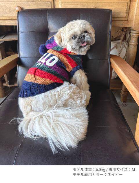 カラフルボーダーパーカーニット 犬服ブランドのドッグデプト/DOG DEPT