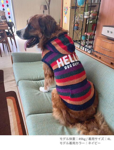 カラフルボーダーパーカーニット 犬服ブランドのドッグデプト/DOG DEPT