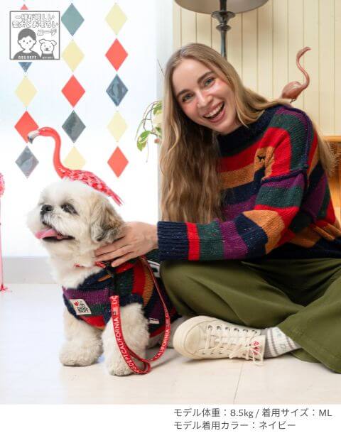 カラフルボーダーパーカーニット 犬服ブランドのドッグデプト/DOG DEPT
