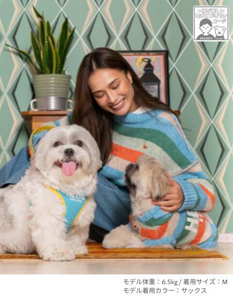 犬服 / ドッグウェア】カラフルボーダーパーカーニット / DOG DEPT