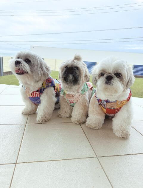 ガラガラエアーダウン 犬服ブランドのドッグデプト/DOG DEPT