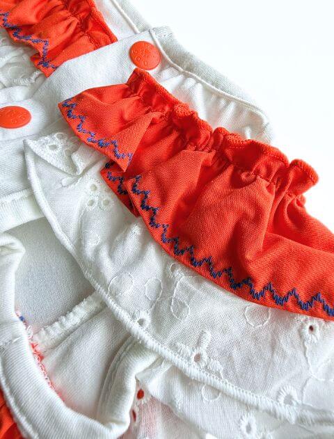 メキシカンペア犬服ブランドのドッグデプト/DOG DEPT