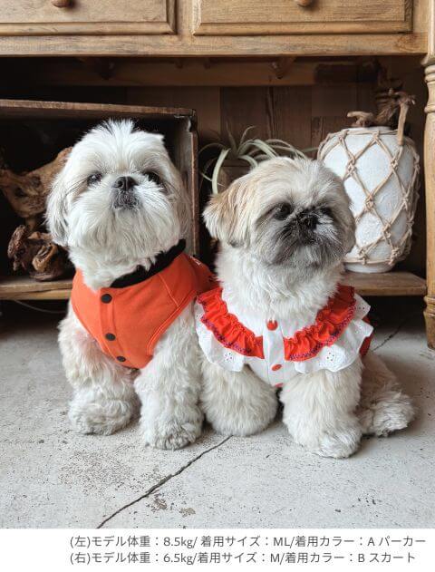 メキシカンペア犬服ブランドのドッグデプト/DOG DEPT