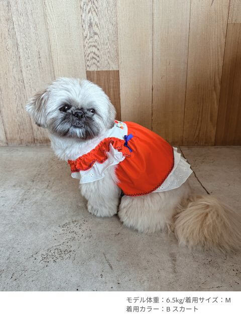 メキシカンペア犬服ブランドのドッグデプト/DOG DEPT