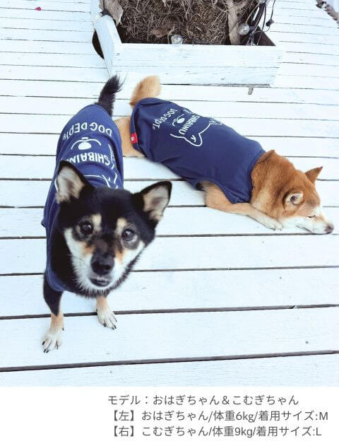 MY DOG IS No.1 シバノースリーブ 犬服ブランドのドッグデプト/DOG DEPT