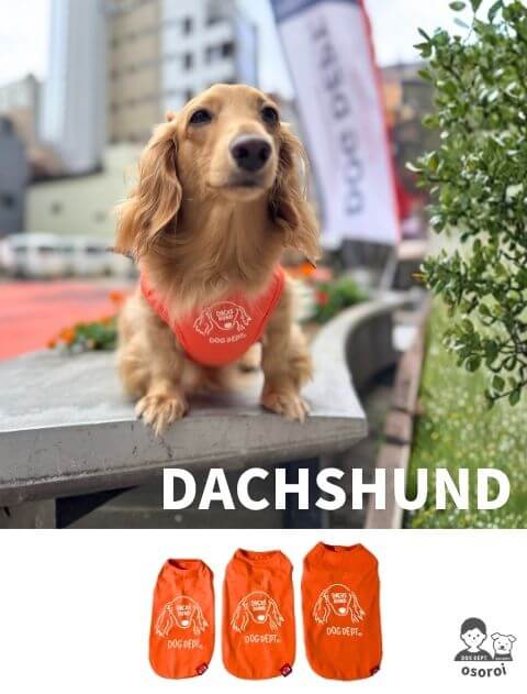 犬服 / ドッグウェア】MY DOG IS No.1 ダックスノースリーブ / DOG