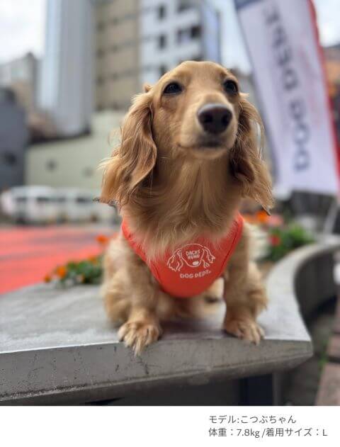 MY DOG IS No.1 ダックスノースリーブ犬服ブランドのドッグデプト/DOG DEPT