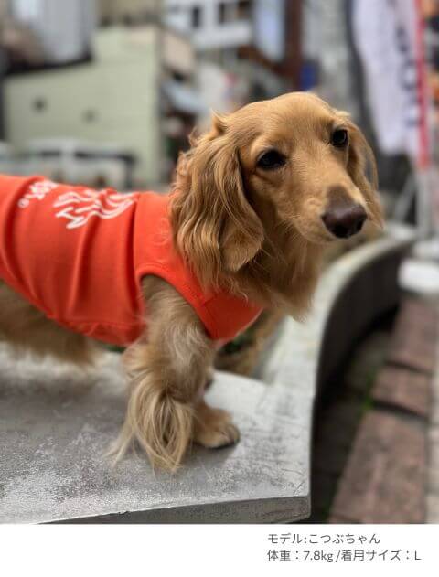 MY DOG IS No.1 ダックスノースリーブ犬服ブランドのドッグデプト/DOG DEPT