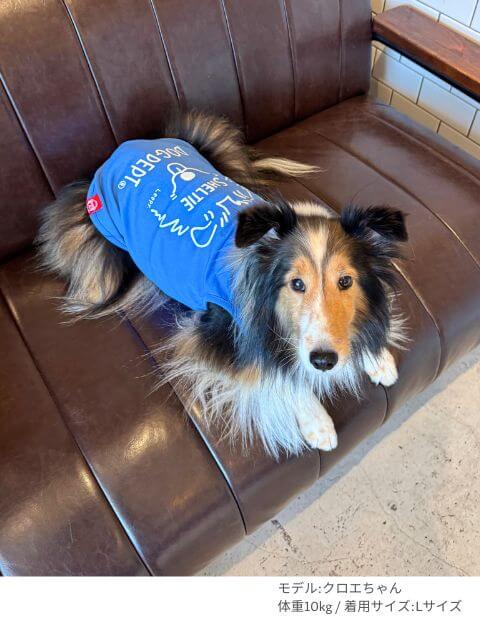 MY DOG IS No.1 シェルティノースリーブ　犬服ブランドのドッグデプト/DOG DEPT