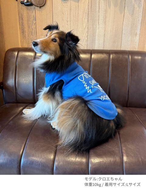 MY DOG IS No.1 シェルティノースリーブ　犬服ブランドのドッグデプト/DOG DEPT